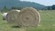 17 boules de foin naturel de prairie 1ère coupe 2019 Fourrage Elevage