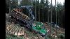 2 Abatteuses Et 3 Porteurs John Deere Sur La M Me Coupe Sarl Mag