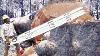 Amazing Dangerous Skills Fastest Big Tree Felling Extreme Biggest Tree Cutting Down Machines