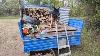 Attention Le Chef Arthur Et La Fendage De Merisier Forestmen Bucheron Forestier