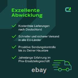 Ganzstahlbeil 600 G Tête de Boeuf Professionnel Equipement Forestier Expertise