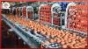 Machines De Production Agro Alimentaire D Une Autre Dimension 7